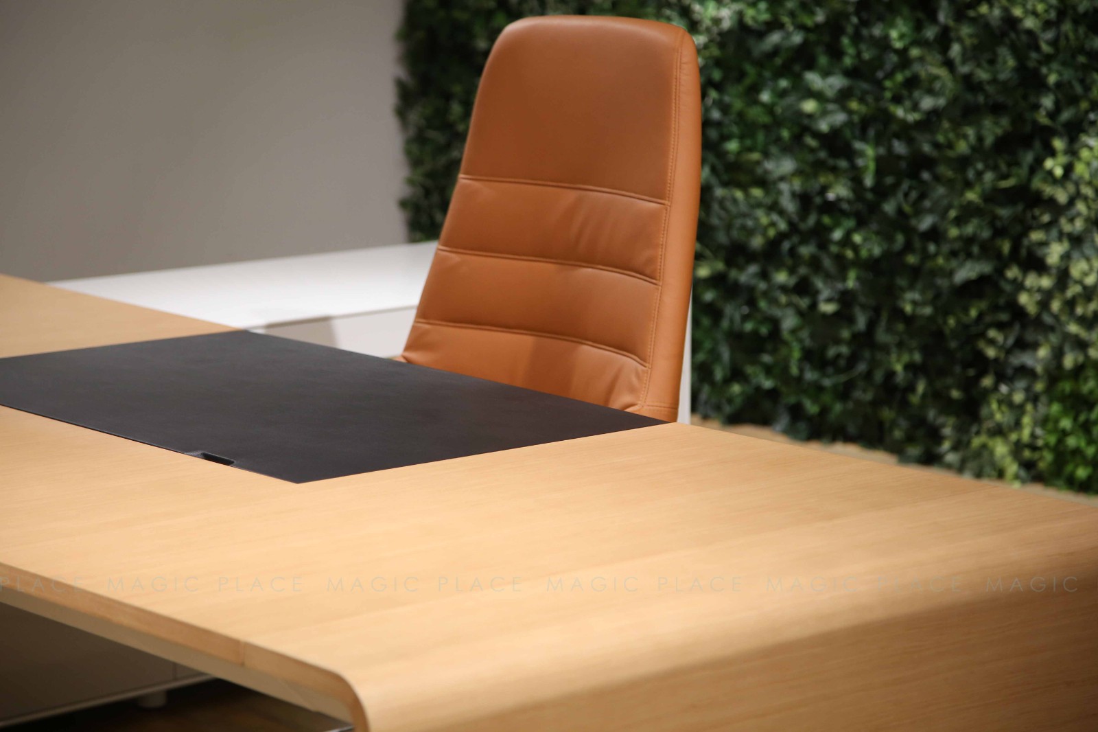 1636437129167180.jpg SOLOMON (1).JPG