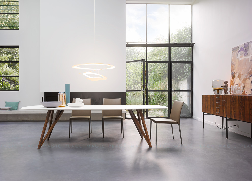 Diego 迭戈  (2).jpg