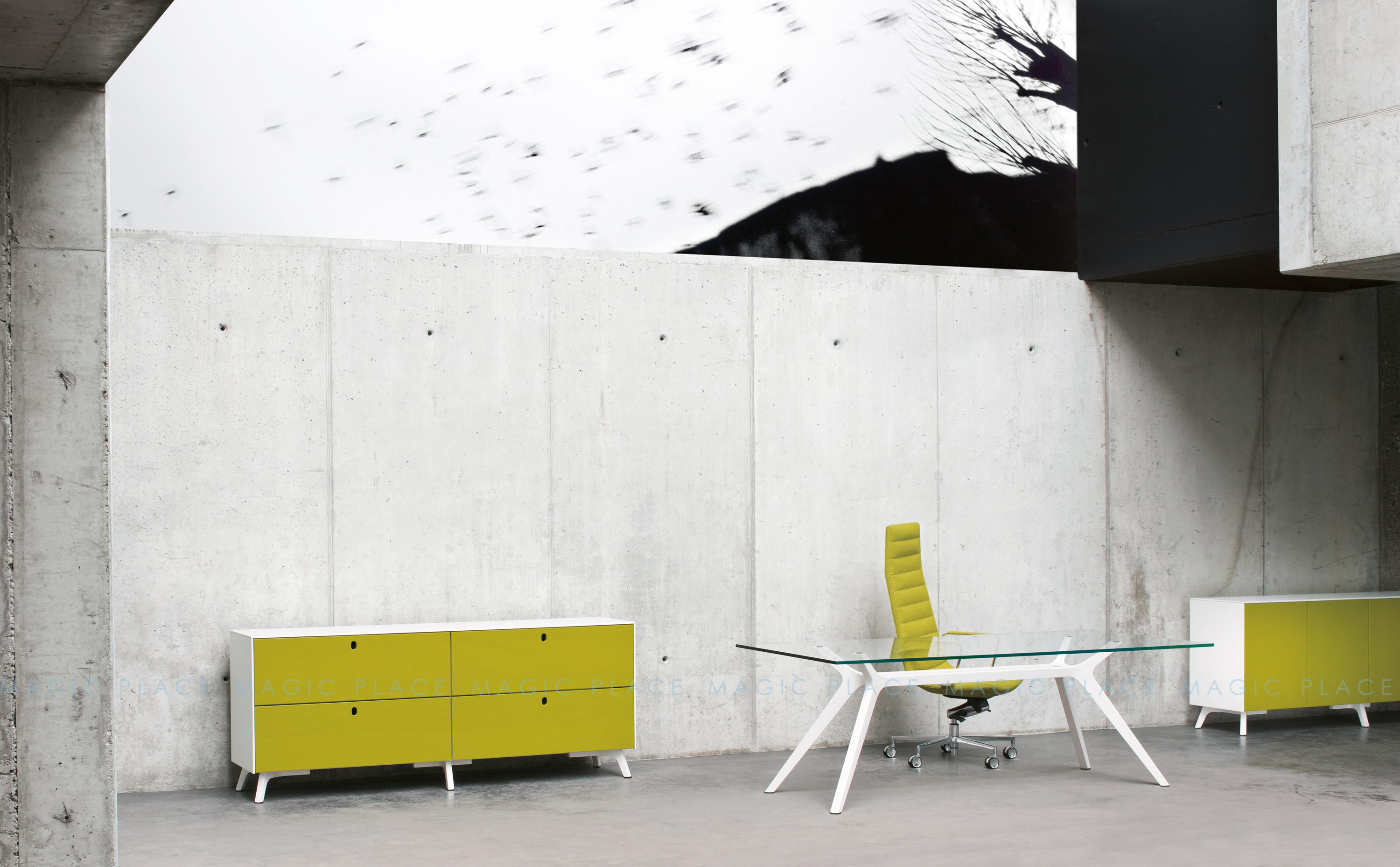 1639620564325161.jpg NOVA (2).jpg