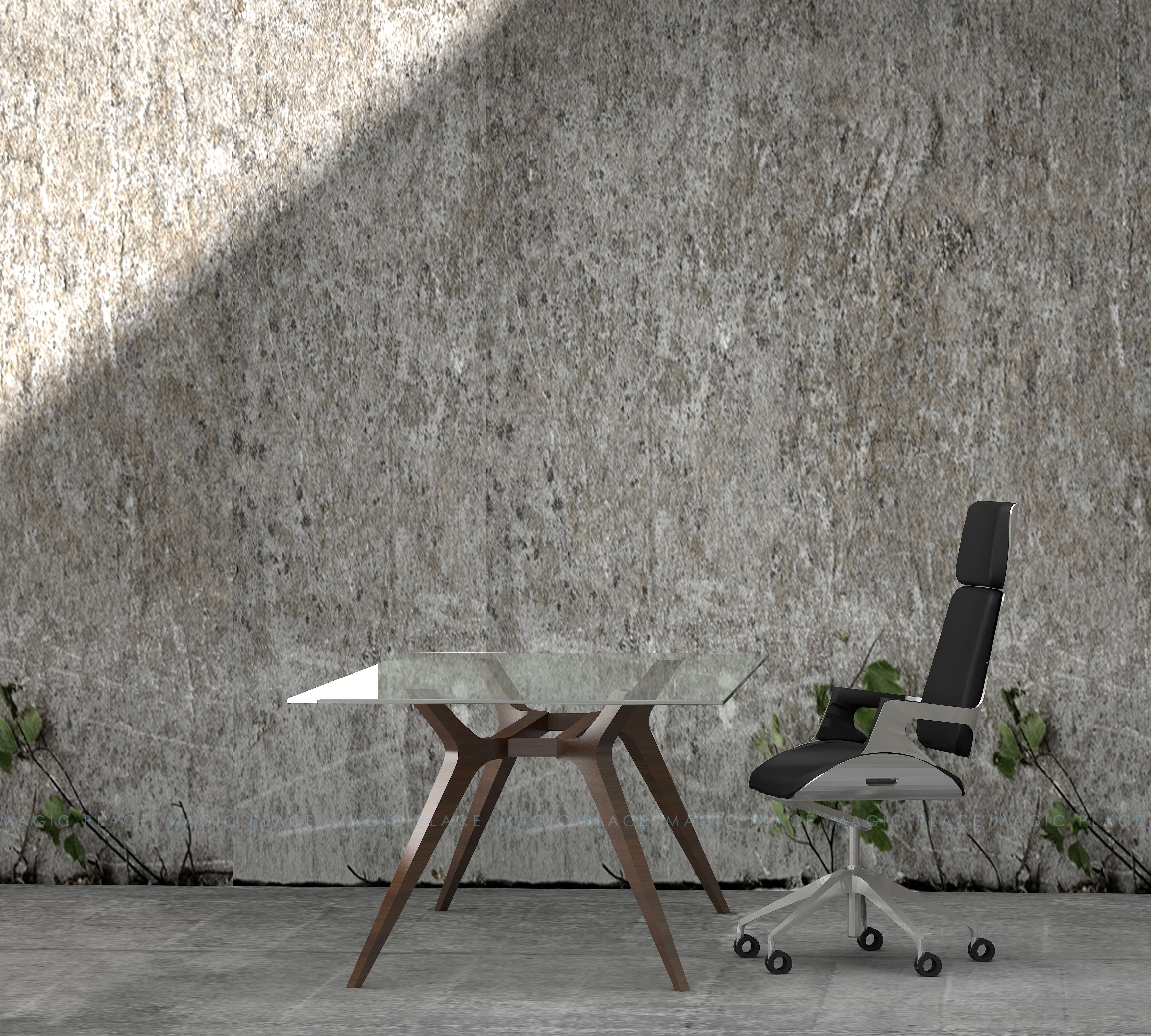 1639620653978693.jpg NOVA (4).jpg